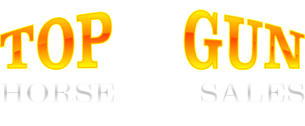 Top Gun Horse Sales Logo